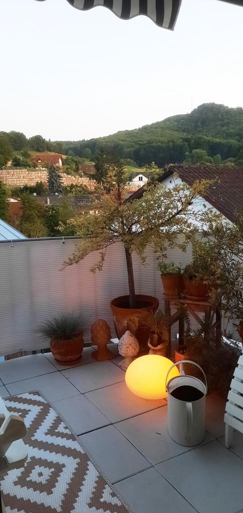 Mango-Mond statt Erdbeermond :-) #12von12 im Juni 2025 - Unterfreundenblog