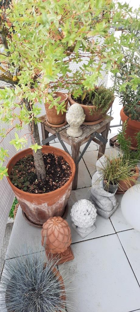 Neuer Deko-Pinienzapfen vom Kringloop - 12von12 im Juli 2025 - Unterfreundenblog