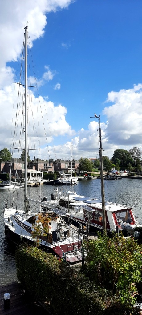 12von12 September 2025 - Ausblick auf Wasser und Boote