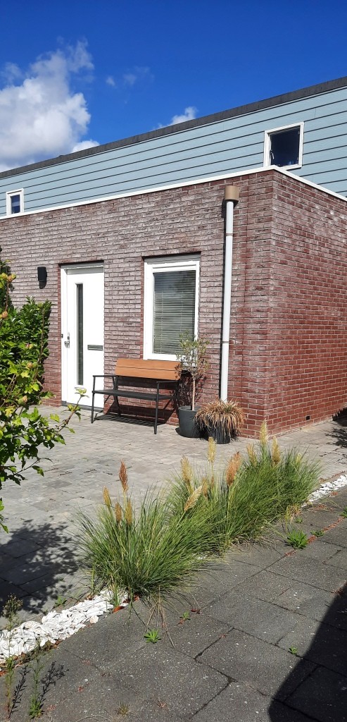 12von12 September 2025 - Mini-Pampasgras im Ferienhaus-Vorgarten