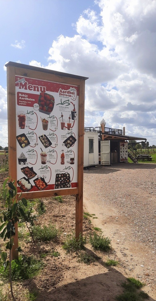 12von12 September 2025 - Erdbeer-Drive-In in Holland