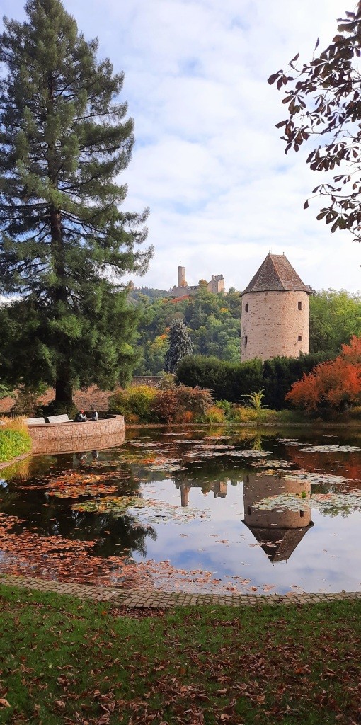 Burgenblick aus dem Schloßpark Weinheim  - 12von12 im Oktober 2025 - Unterfreundenblog