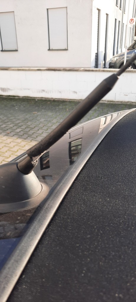 Antenne am Mini mit Bissspuren ...