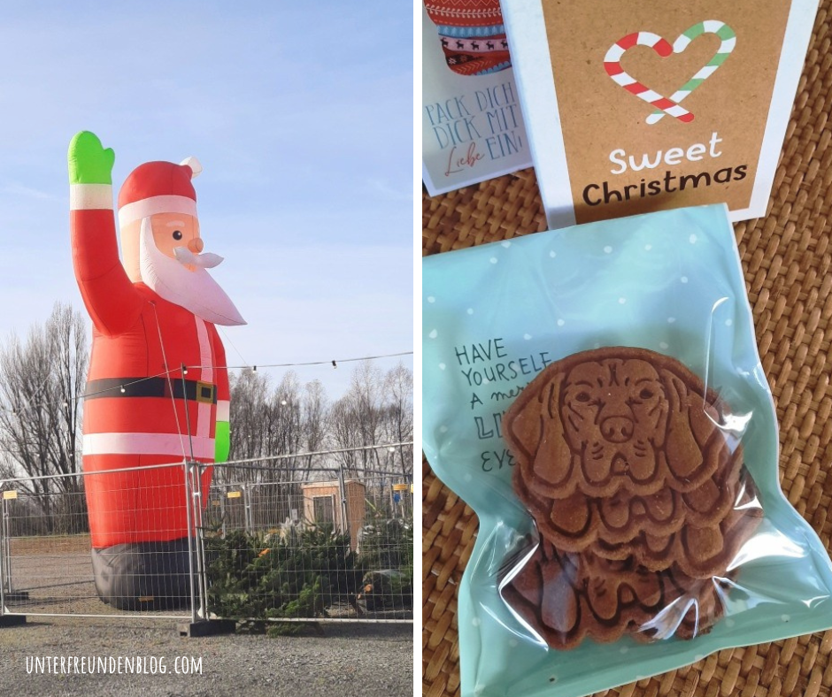 Ein gar nicht so freier Freitag im Advent – meine zwölf Bilder vom zwölften im Dezember 2025&nbsp;#12von12