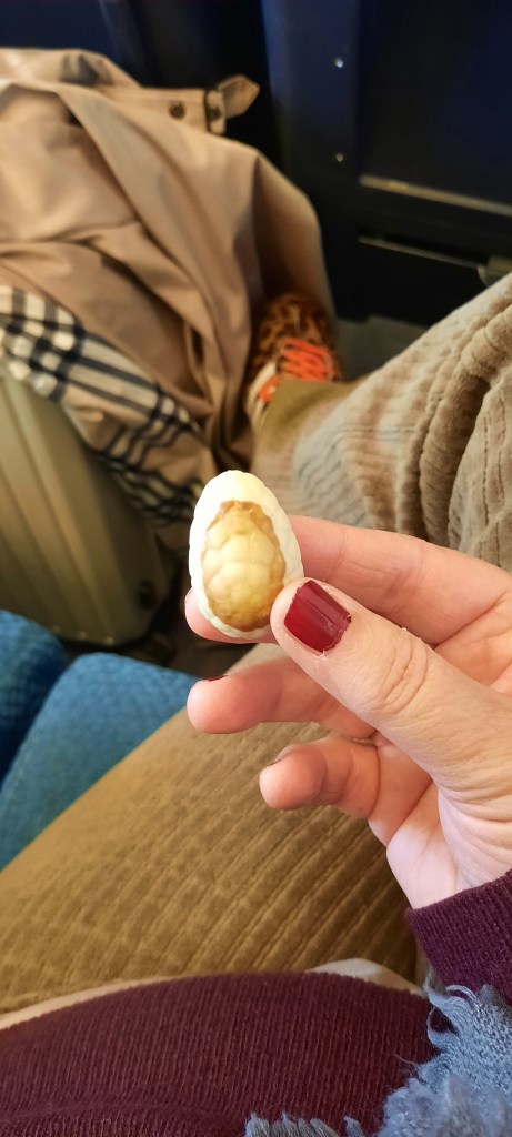 12von12 April 2026 / Das letzte Schoko-Osterei