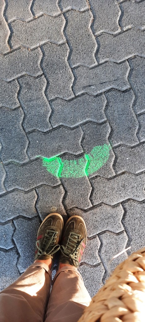 #12von12 
12 Bilder am zwölften im Mai 2026 - Unterfreundenblog