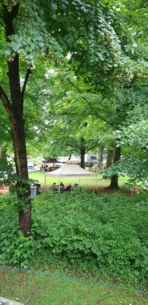 Schlosspark Birkenau - 12von12 im Juni 2026 - Unterfreundenblog