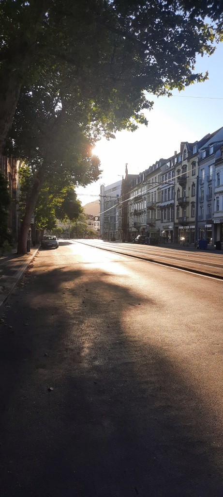 12von12 im August 2026 / Heidelberg